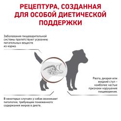 Royal Canin GASTROINTESTINAL SMALL DOG LOW FAT корм сухой полнорационный диетический для взрослых собак мелких пород  при нарушениях пищеварения