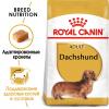 Royal Canin Dachshund Adult Корм сухой для взрослых собак породы Такса от 10 месяцев
