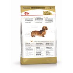 Royal Canin Dachshund Adult Корм сухой для взрослых собак породы Такса от 10 месяцев