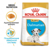 Royal Canin Dalmatian Puppy (для щенков породы далматин в возрасте до 15 месяцев)