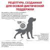 Royal Canin Diabetic DS 37 Canine Корм сухой диетический для взрослых собак при сахарном диабете