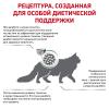 Royal Canin Diabetic DS 46 Feline Корм сухой диетический для взрослых кошек при сахарном диабете