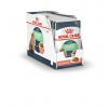 Royal Canin Digest Sensitive Корм консервированный для взрослых кошек с чувствительным пищеварением, соус, 85г