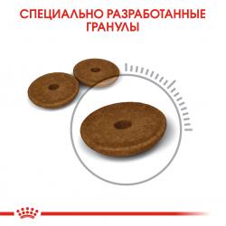 Royal Canin Digestive Care Корм сухой для взрослых кошек для поддержания здоровья пищеварительной системы