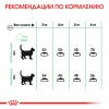 Royal Canin Digestive Care Корм сухой для взрослых кошек для поддержания здоровья пищеварительной системы
