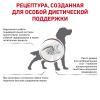 Royal Canin Gastrointestinal Low Fat Корм сухой диетический для собак при нарушениях пищеварения