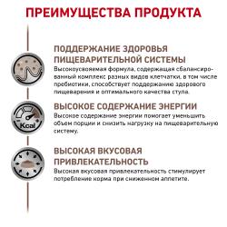 Royal Canin Gastrointestinal Корм консервированный полнорационный диетический для собак, рекомендуемый при расстройствах пищеварения, в реабилитационный период и при истощении, паштет