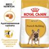Royal Canin French Bulldog Adult Корм сухой для взрослых собак породы Французский Бульдог от 12 месяцев