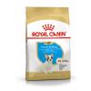 Royal Canin French Bulldog Puppy Корм сухой для щенков породы Французский Бульдог до 12 месяцев