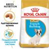 Royal Canin French Bulldog Puppy Корм сухой для щенков породы Французский Бульдог до 12 месяцев