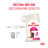 Royal Canin Fussy Корм (сухой для привередливых кошек от 1 года)