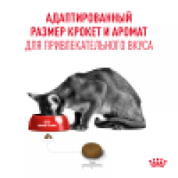 Royal Canin Fussy Корм (сухой для привередливых кошек от 1 года)