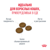 Royal Canin Fussy Корм (сухой для привередливых кошек от 1 года)