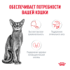 Royal Canin Fussy Корм (сухой для привередливых кошек от 1 года)