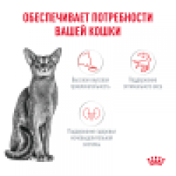 Royal Canin Fussy Корм (сухой для привередливых кошек от 1 года)