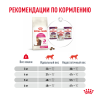 Royal Canin Fussy Корм (сухой для привередливых кошек от 1 года)