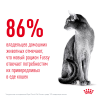 Royal Canin Fussy Корм (сухой для привередливых кошек от 1 года)