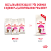Royal Canin Fussy Корм (сухой для привередливых кошек от 1 года)