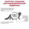 Royal Canin Gastrointestinal Корм сухой диетический для взрослых кошек при расстройствах пищеварения