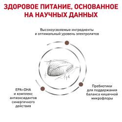 Royal Canin Gastrointestinal Корм сухой диетический для взрослых кошек при расстройствах пищеварения