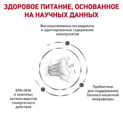 Royal Canin Gastrointestinal Fibre Response Корм сухой диетический для кошек при запорах