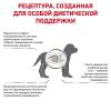 Royal Canin Gastrointestinal Puppy Корм сухой диетический для щенков при расстройствах пищеварения