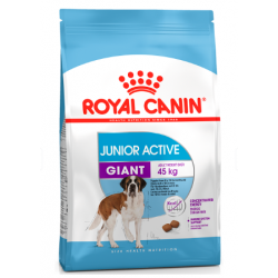 Royal Canin Giant Junior Active (для активных щенков крупных пород с 8 до 18/24 месяцев)