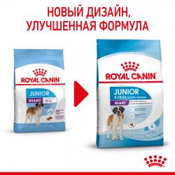 Royal Canin Giant Junior Корм сухой полнорационный для щенков очень крупных пород (вес взрослой собаки более 45 кг) в возрасте от 8 до 18/24 месяцев