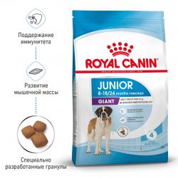 Royal Canin Giant Junior Корм сухой полнорационный для щенков очень крупных пород (вес взрослой собаки более 45 кг) в возрасте от 8 до 18/24 месяцев