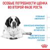 Royal Canin Giant Junior Корм сухой полнорационный для щенков очень крупных пород (вес взрослой собаки более 45 кг) в возрасте от 8 до 18/24 месяцев