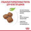 Royal Canin Giant Junior Корм сухой полнорационный для щенков очень крупных пород (вес взрослой собаки более 45 кг) в возрасте от 8 до 18/24 месяцев