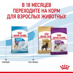 Royal Canin Giant Junior Корм сухой полнорационный для щенков очень крупных пород (вес взрослой собаки более 45 кг) в возрасте от 8 до 18/24 месяцев