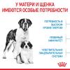 Royal Canin Giant Starter Корм для щенков гигантских пород до 2-х месяцев, беременных и кормящих сук
