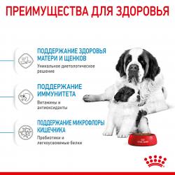 Royal Canin Giant Starter Корм для щенков гигантских пород до 2-х месяцев, беременных и кормящих сук