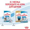 Royal Canin Giant Starter Корм для щенков гигантских пород до 2-х месяцев, беременных и кормящих сук