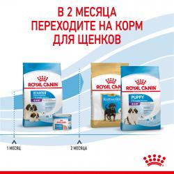 Royal Canin Giant Starter Корм для щенков гигантских пород до 2-х месяцев, беременных и кормящих сук
