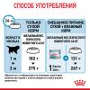 Royal Canin Giant Starter Корм для щенков гигантских пород до 2-х месяцев, беременных и кормящих сук