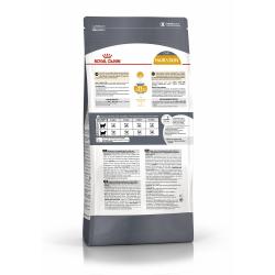 Royal Canin Hair & Skin Care Корм сухой для взрослых кошек для поддержания здоровья кожи и шерсти