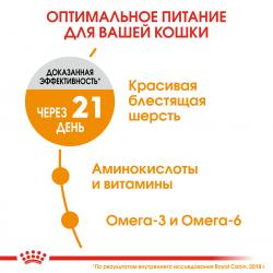 Royal Canin Hair & Skin Care Корм сухой для взрослых кошек для поддержания здоровья кожи и шерсти