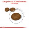 Royal Canin Hair & Skin Care Корм сухой для взрослых кошек для поддержания здоровья кожи и шерсти