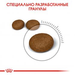 Royal Canin Hair & Skin Care Корм сухой для взрослых кошек для поддержания здоровья кожи и шерсти