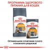 Royal Canin Hair & Skin Care Корм сухой для взрослых кошек для поддержания здоровья кожи и шерсти
