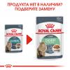 Royal Canin Hairball Care Корм консервированный для взрослых кошек в соусе для профилактики образования волосяных комочков, 85г