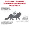 Royal Canin Hypoallergenic DR 25 Feline Корм сухой диетический  для взрослых кошек при пищевой аллергии