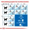 Royal Canin Indoor Sterilized 7+ Корм консервированный для стареющих кошек, постоянно живущих в помещении, соус, 85г