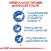 Royal Canin Indoor 7+ Корм сухой сбалансированный для стареющих кошек, живущих в помещении