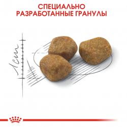 Royal Canin Indoor 7+ Корм сухой сбалансированный для стареющих кошек, живущих в помещении