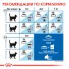 Royal Canin Indoor Appetite Control Корм сухой сбалансированный для взрослых кошек, живущих в помещении