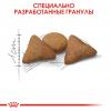 Royal Canin Indoor Appetite Control Корм сухой сбалансированный для взрослых кошек, живущих в помещении