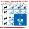 Royal Canin Indoor Long Hair Корм сухой сбалансированный для взрослых длинношерстных кошек, живущих в помещении